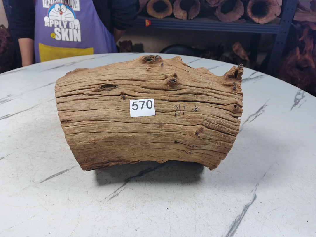 云南紫柚木沉木570