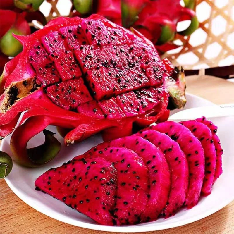广西金都一号红心火龙果新鲜采摘