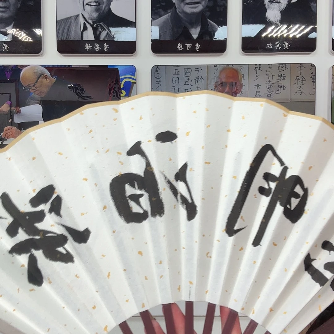 横款普*书法作品多次参加