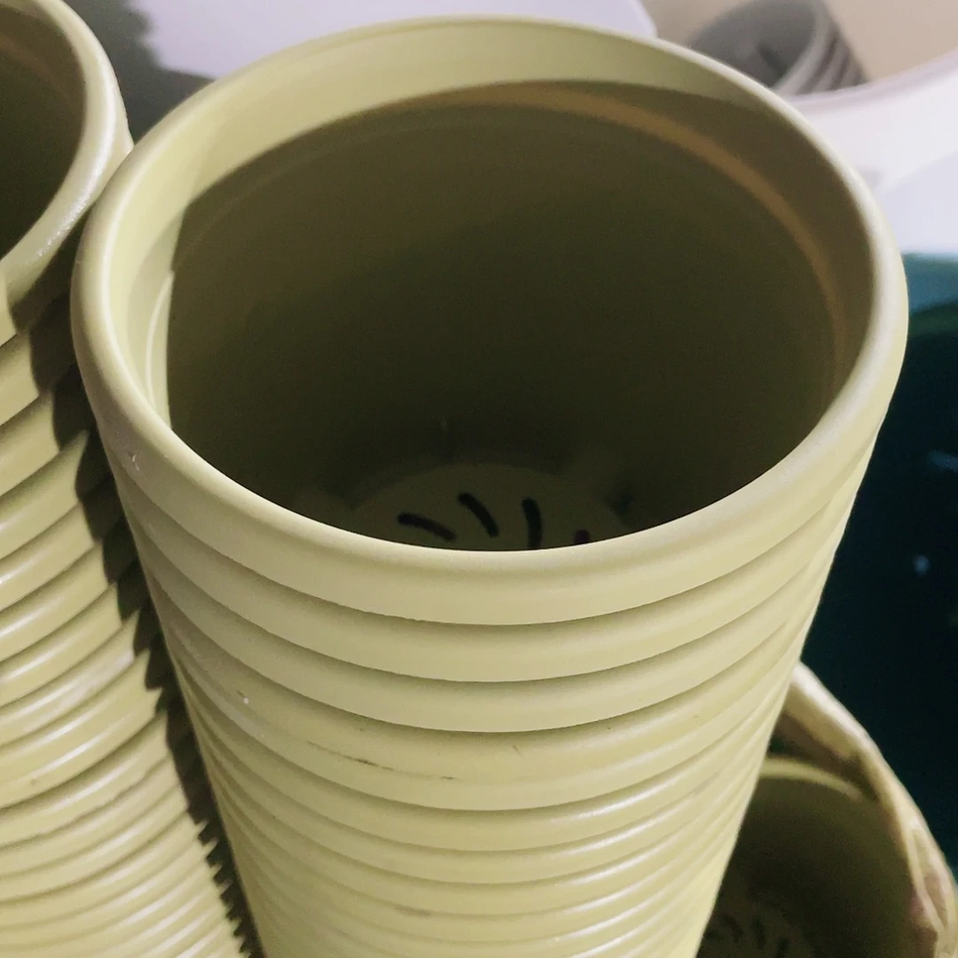 微瑕1号一组12个无拖