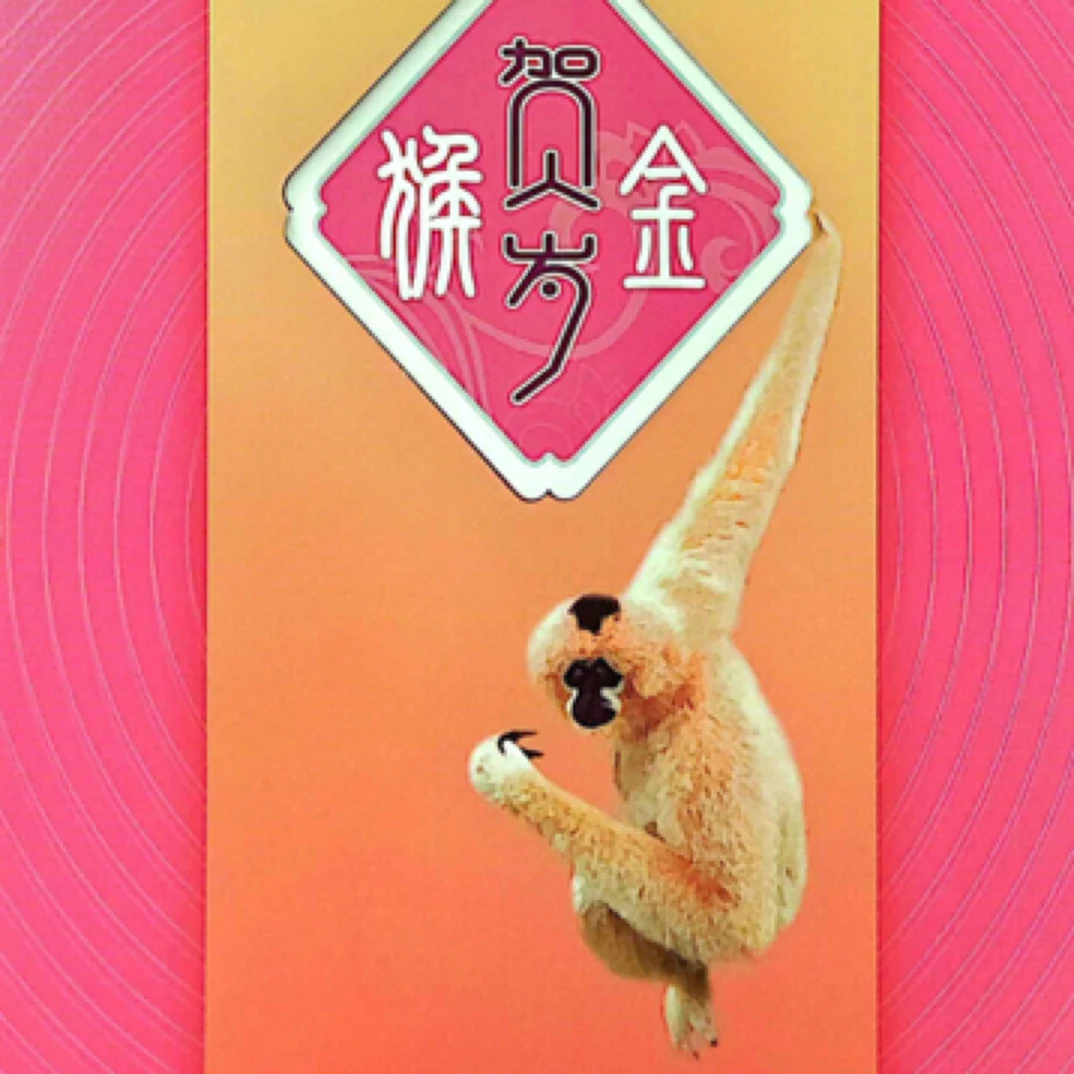 【岚山直播间专属】《金猴贺岁》邮票册