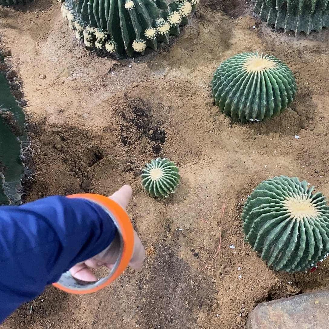 【**】00000000000009000