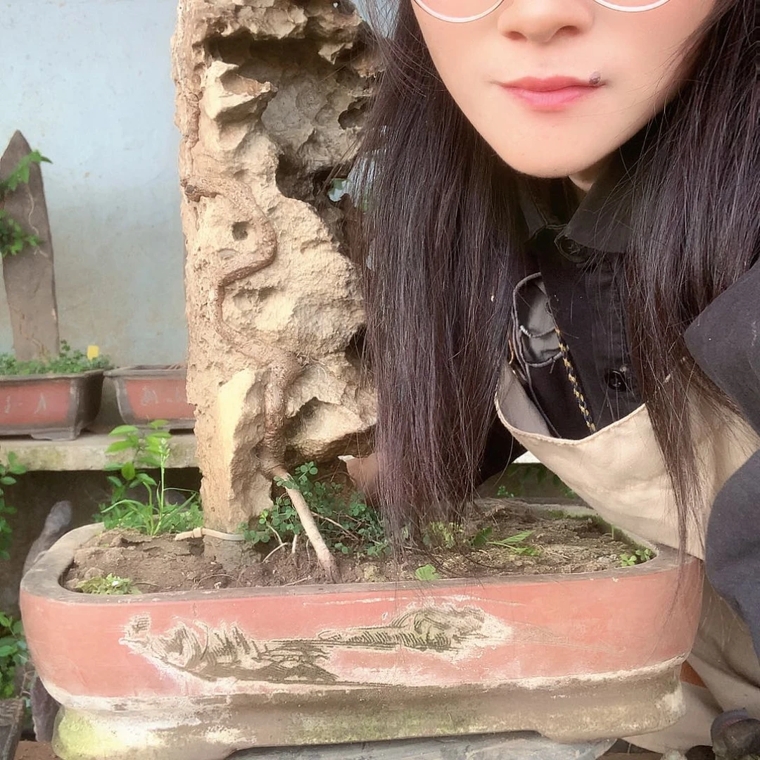 鹿盆景园林好看啊