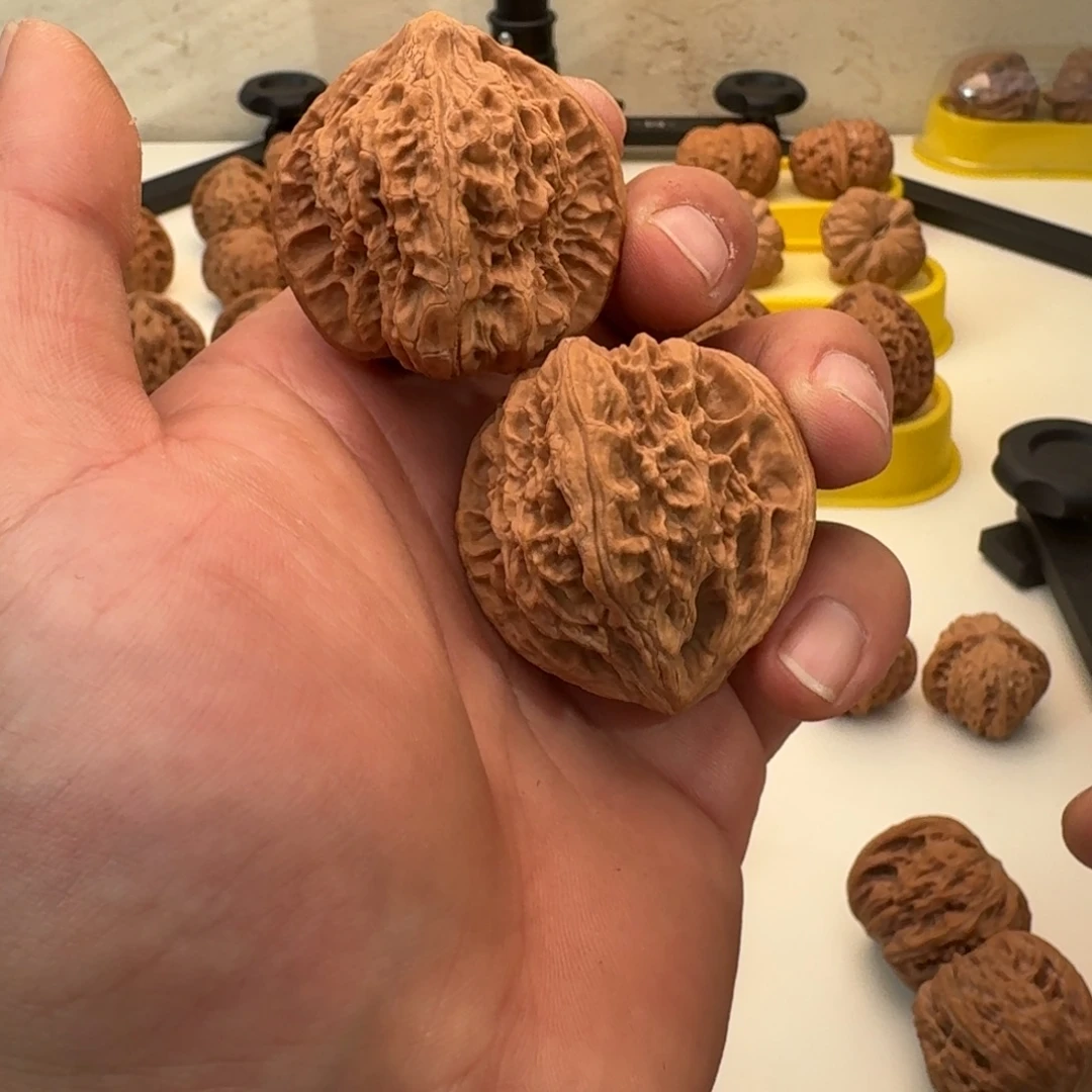 拔***.文玩核桃把件42火焰马蹄 8号