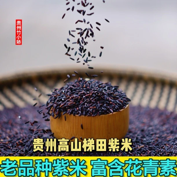 2024贵州梯田农家老品种紫米五谷杂粮煮粥佳品