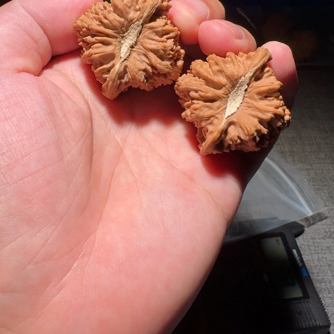 39 尺全品无修凹底石膏脐密纹