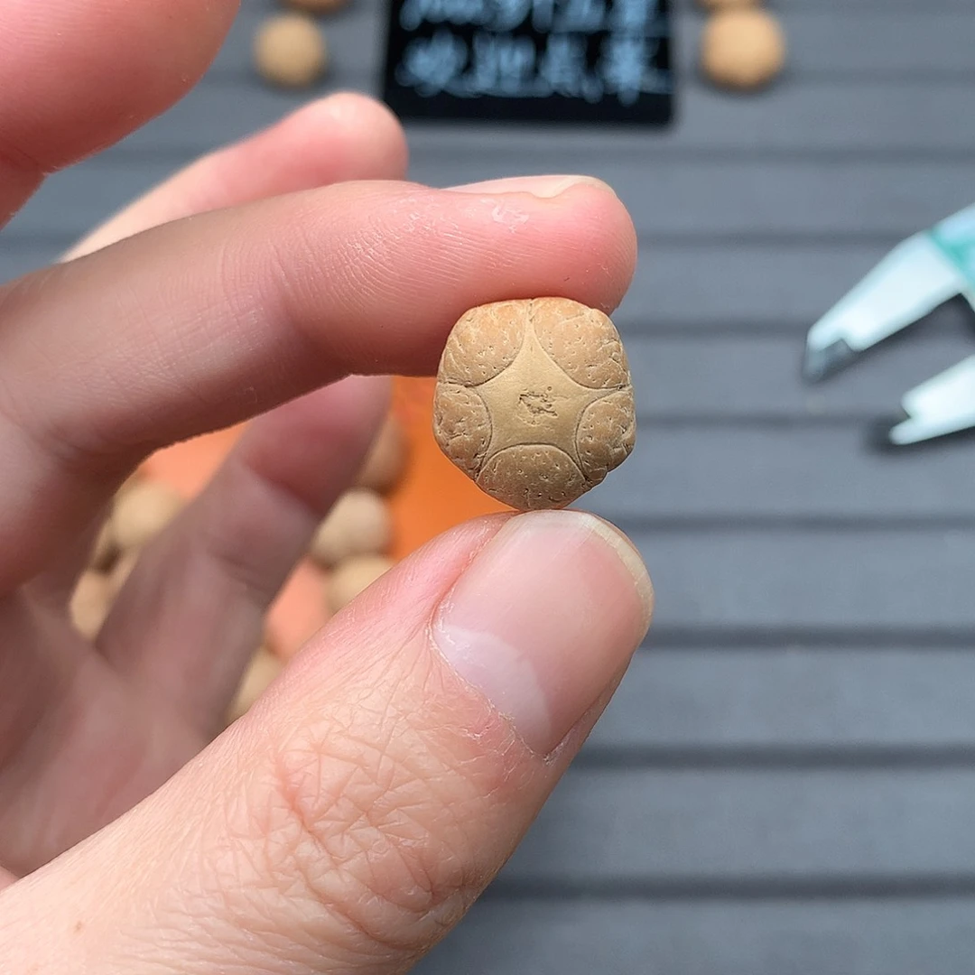 吊坠凤眼菩提15+五星，非质量问题开孔不退