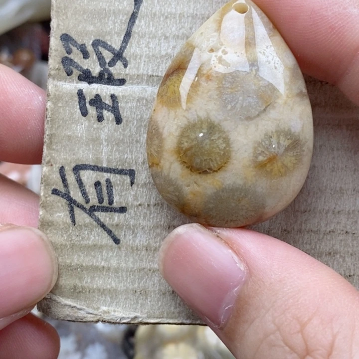 硅化珊瑚（珊瑚玉）未镶嵌颈饰幸*树小