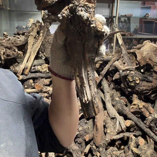 香榧木凉火琉璃毛料