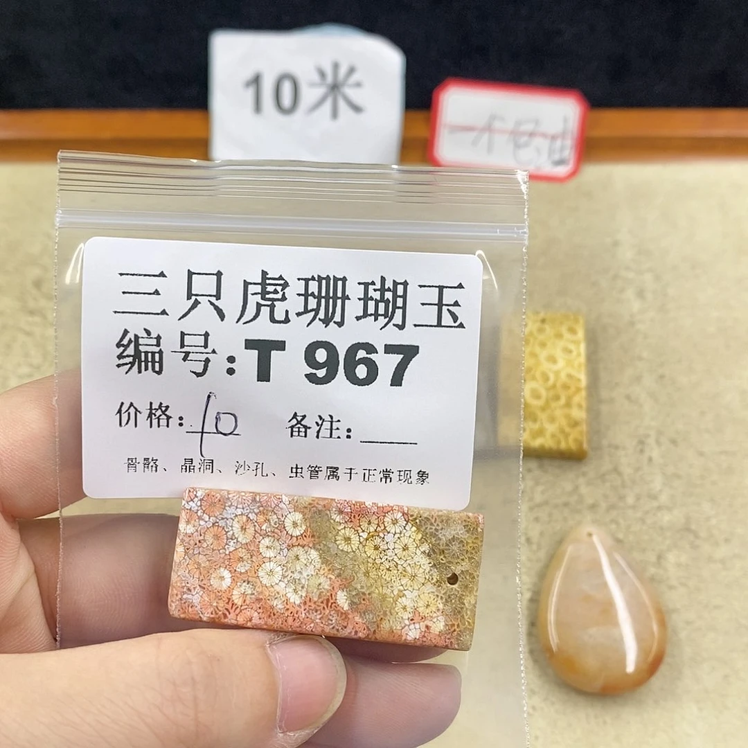 硅化珊瑚（珊瑚玉）1未镶嵌家****！
