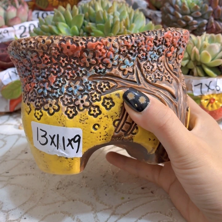 多肉花盆满15包邮