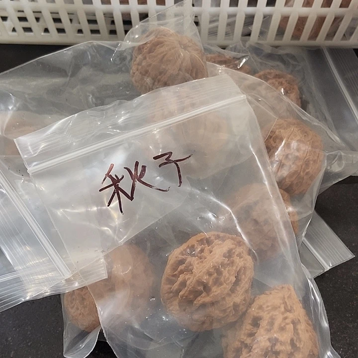 吊坠文玩核桃一单6对777