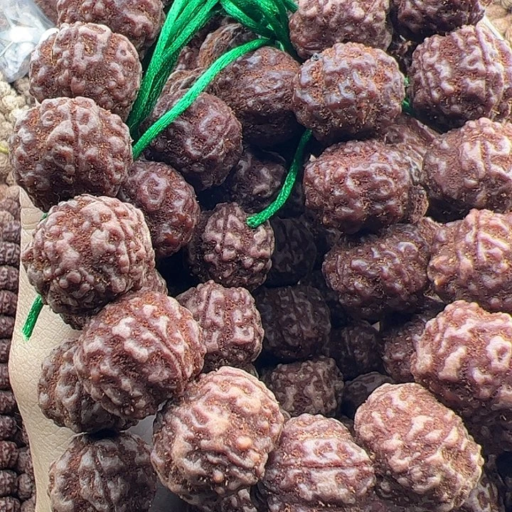 艾***强手串金刚菩提帝王花