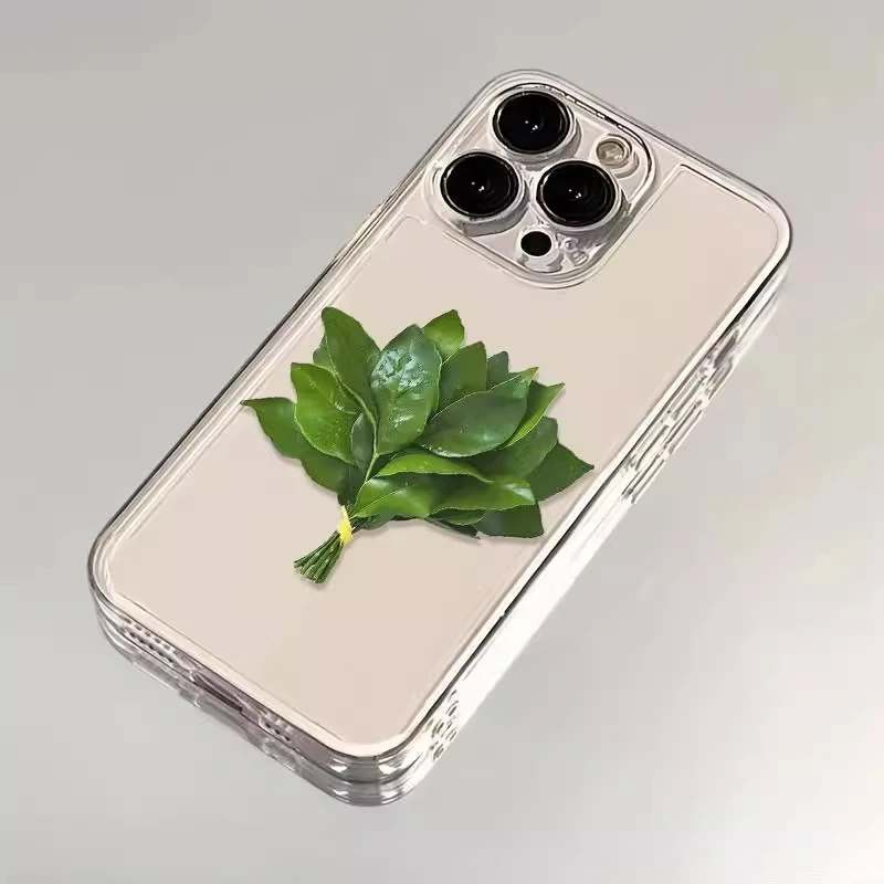 财源滚滚柚子叶适用于iPhone16苹果13简约手机壳17promax保护套14