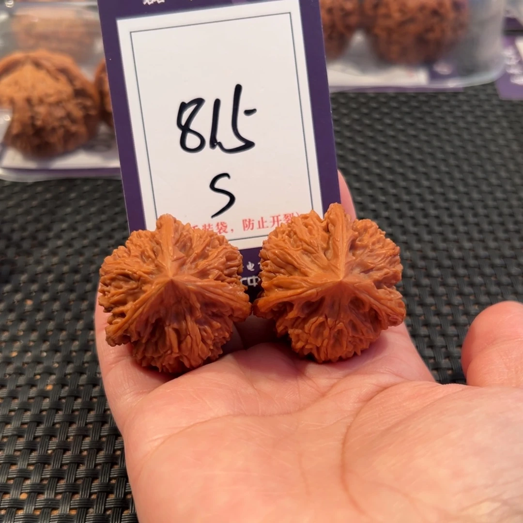 文玩核桃把件815号文山正奔尺寸37全品