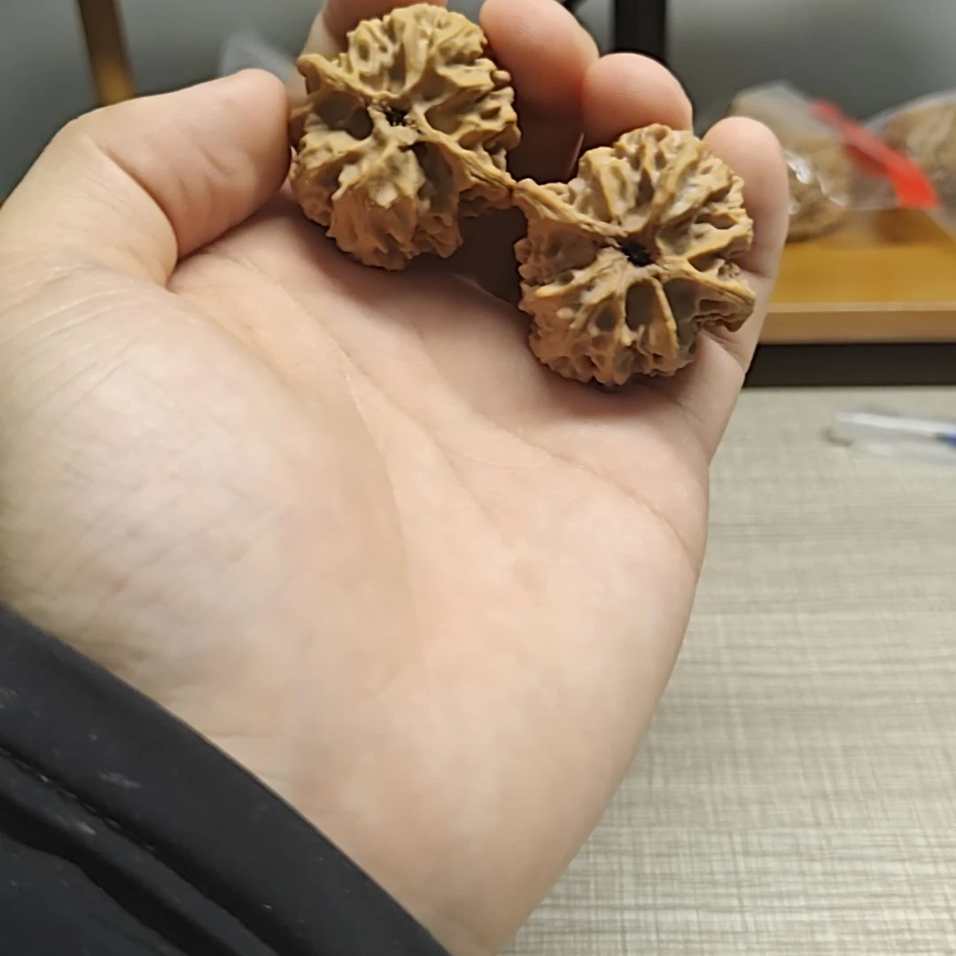 吊坠文玩核桃哈哈哈哈哈哈哈苹果园