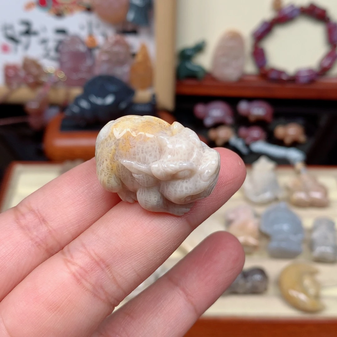 硅化玉未镶嵌颈饰
