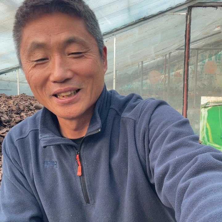 大***王胡萝卜中国大陆胡萝卜胡萝卜胡萝卜
