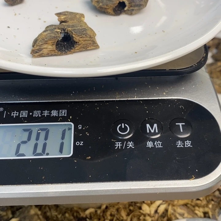 沉香沉香碎屑原材料
