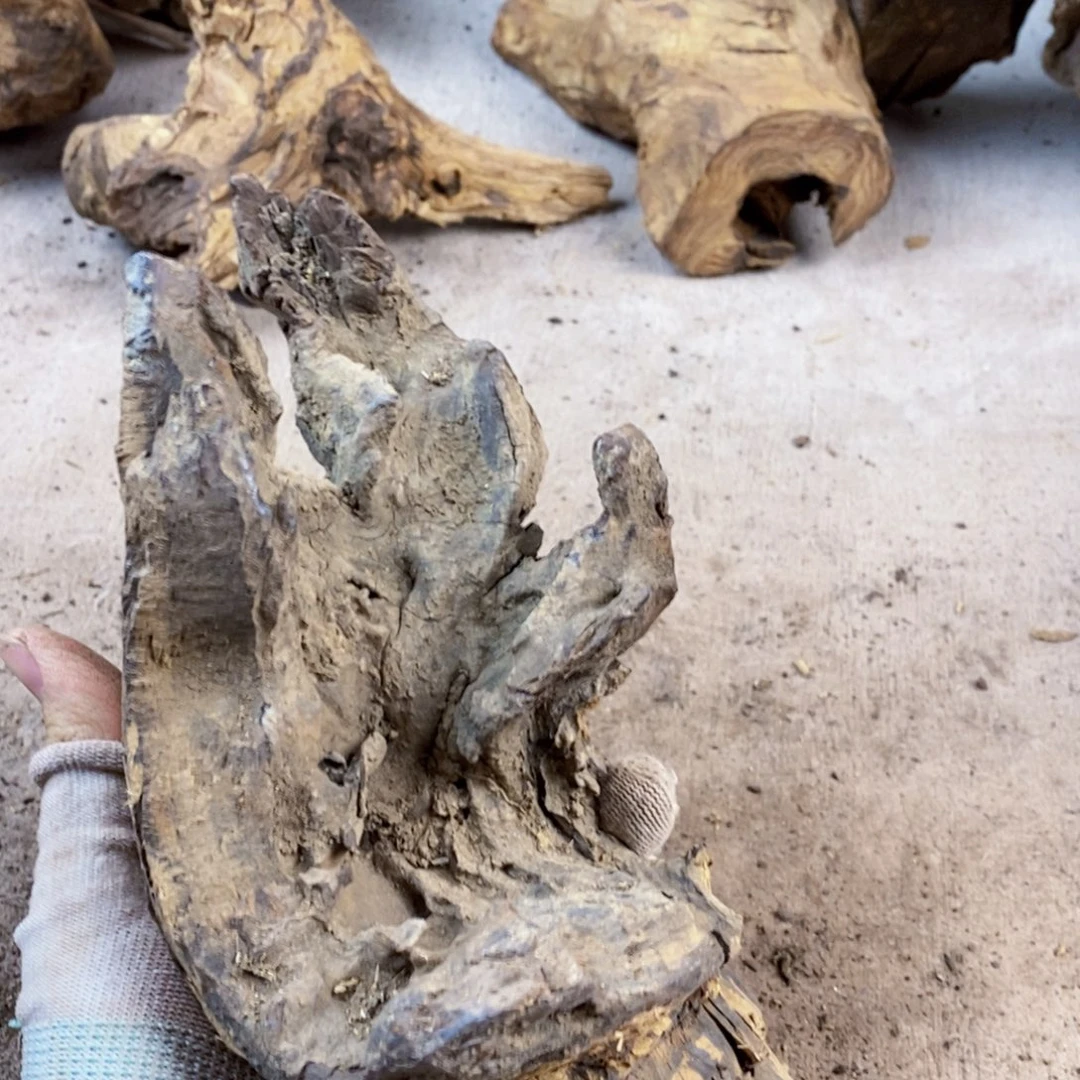 是***啊黄花梨/降香黄檀降香黄檀黄花梨