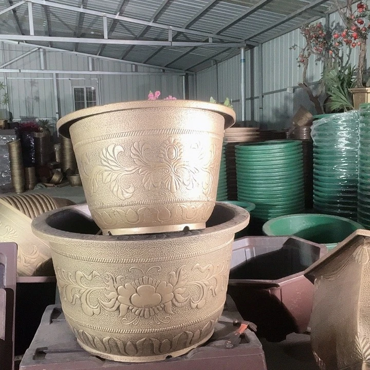 梅花照眼 依然旧风味