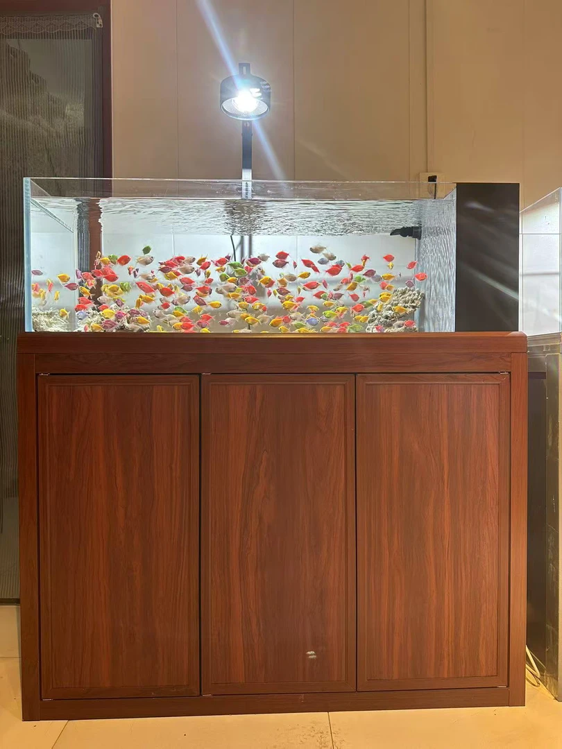 溪流缸客厅家用生态四面金晶超白底滤鱼缸水族箱