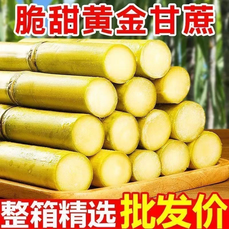 云南甘蔗现砍现发脆甜多汁当季新鲜水果