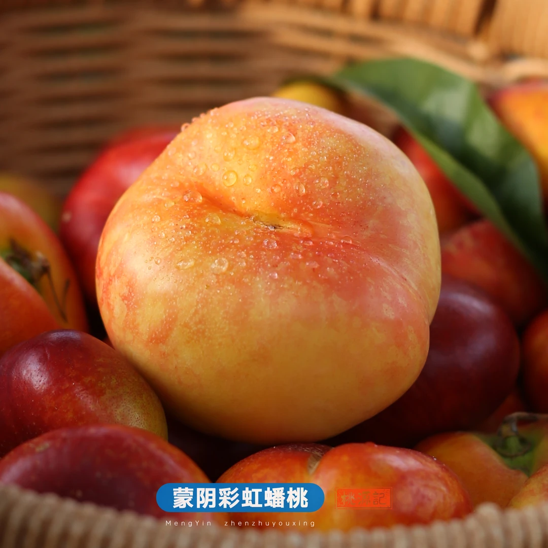 【顺丰包邮】正宗山东清甜彩虹蟠桃新鲜现摘甜油脆蟠桃子送礼水果