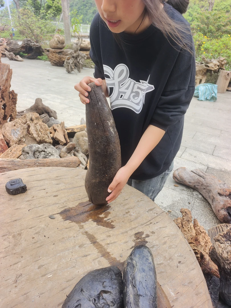 民间使用风化木漂流木