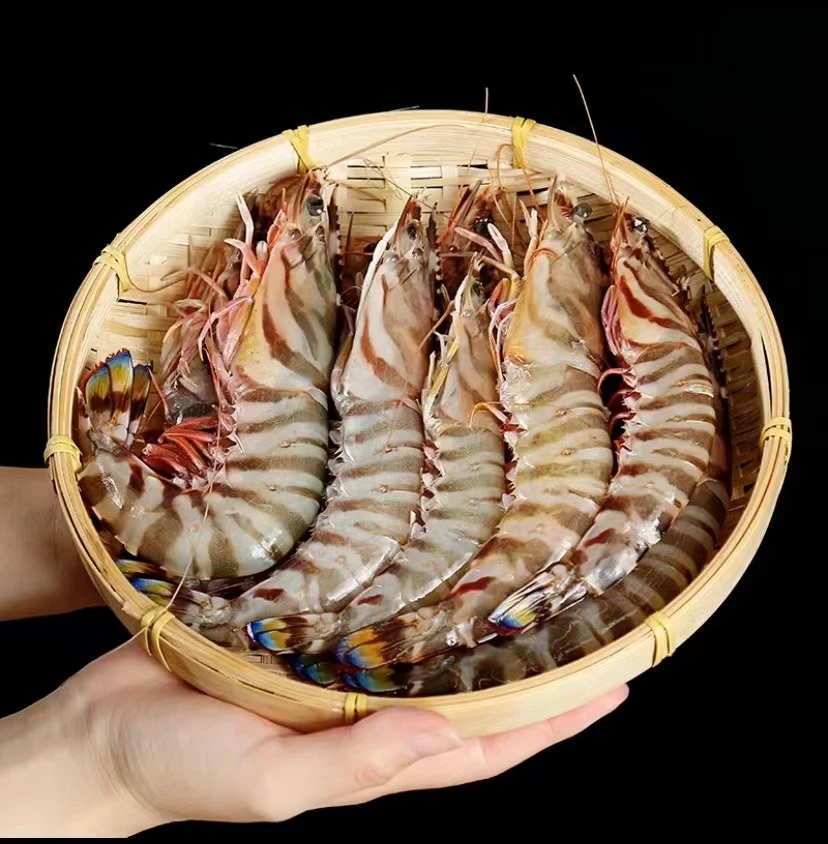 舟山船冻竹节虾船冻海鲜海捕大虾斑节虾九节虾顺丰冷链舟山直发