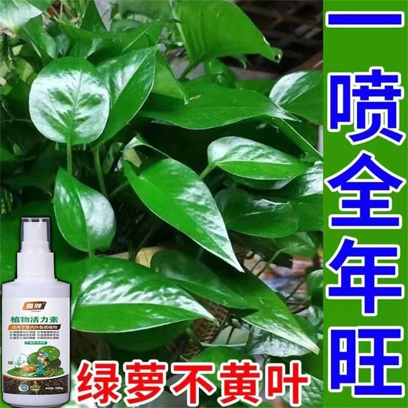 绿萝营养液防黄叶增绿增肥专用肥料枯叶黄叶一喷绿免稀释直喷