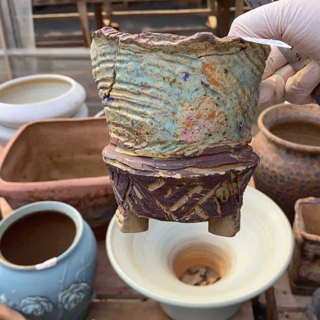 红陶蝴*29号多肉盆一号呀