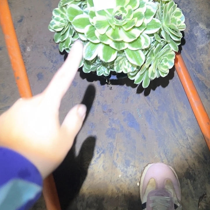 ℋ****法师链接一物一拍53