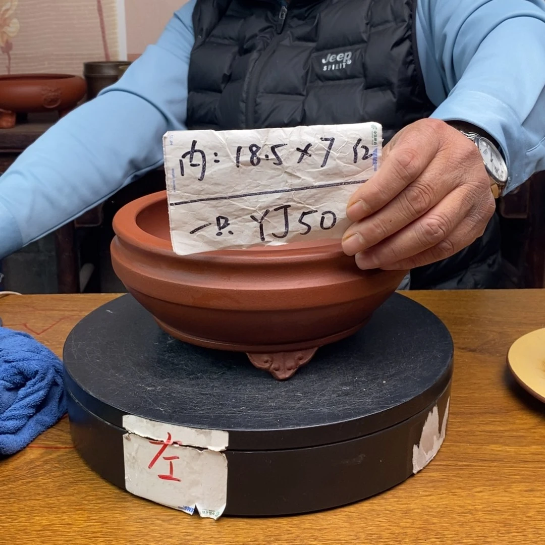 红陶货号一只YJ50