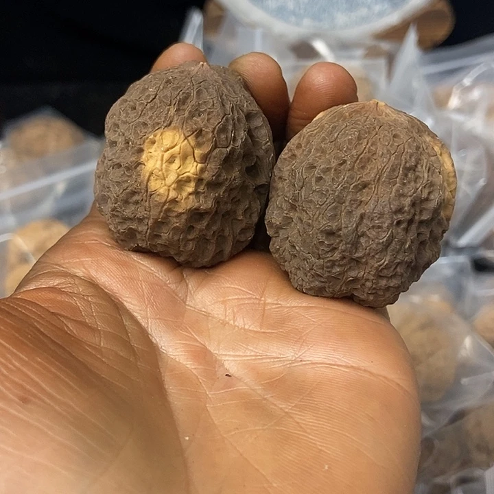 把件文玩核桃云南铁核桃基地48