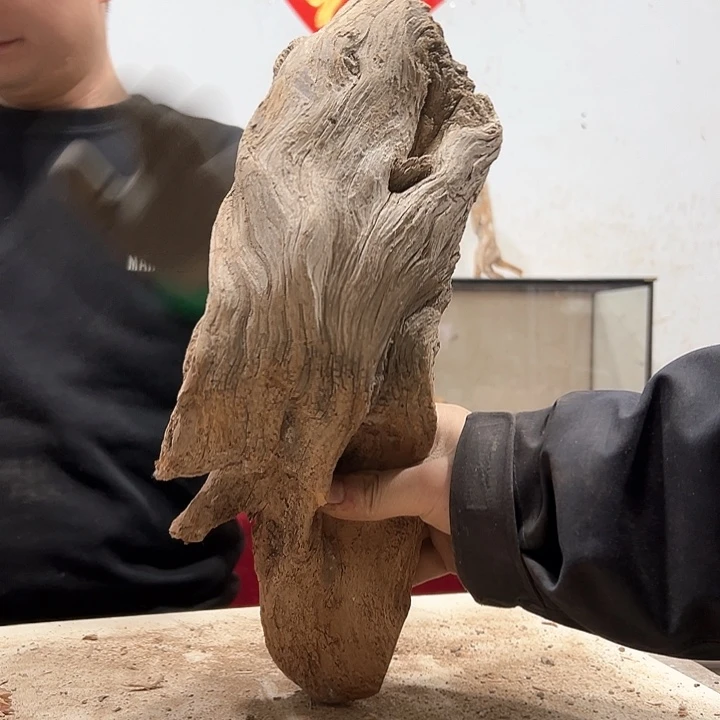 柏木古**香我们的生活也是如此的