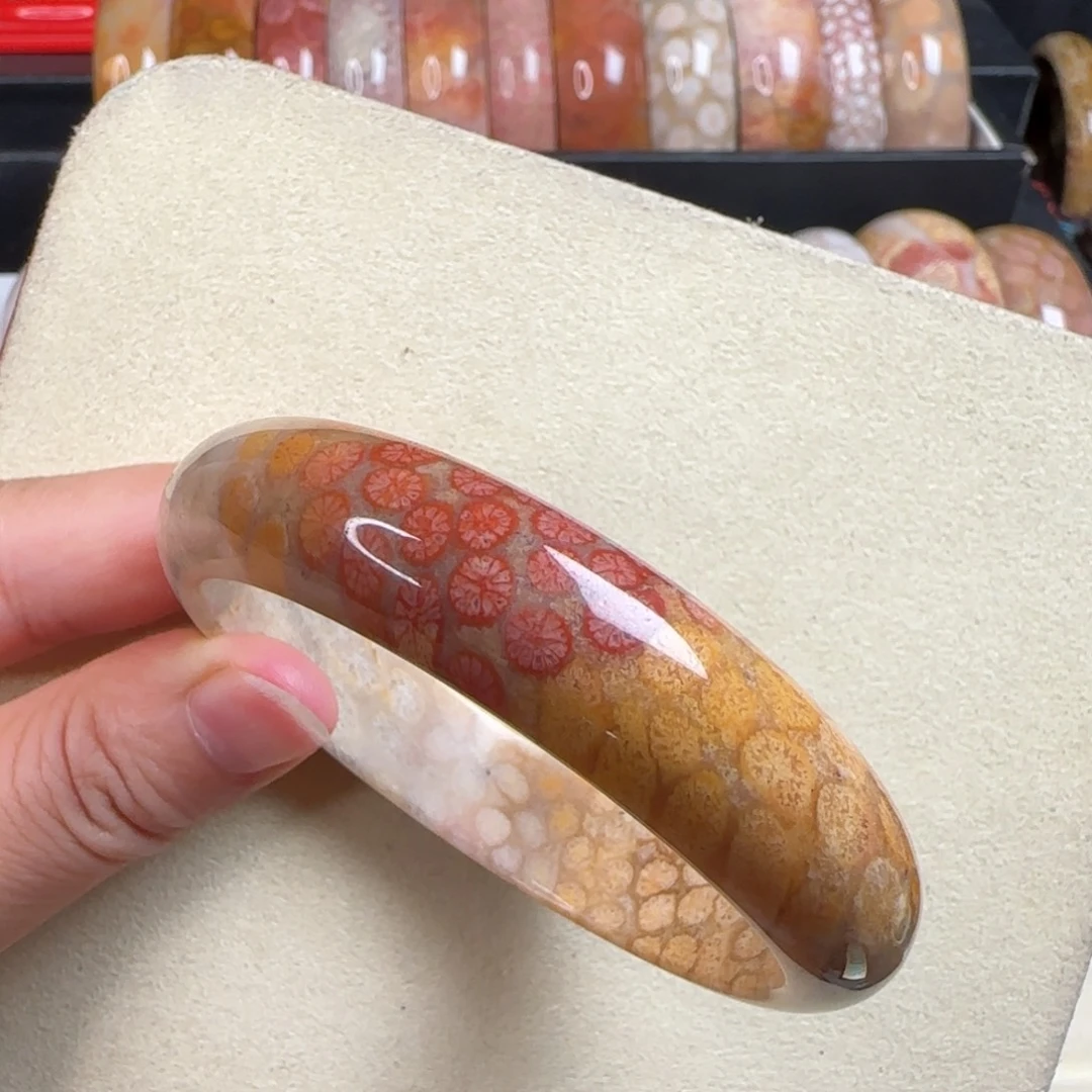 未镶嵌手镯硅化玉57.2圈彩雏菊