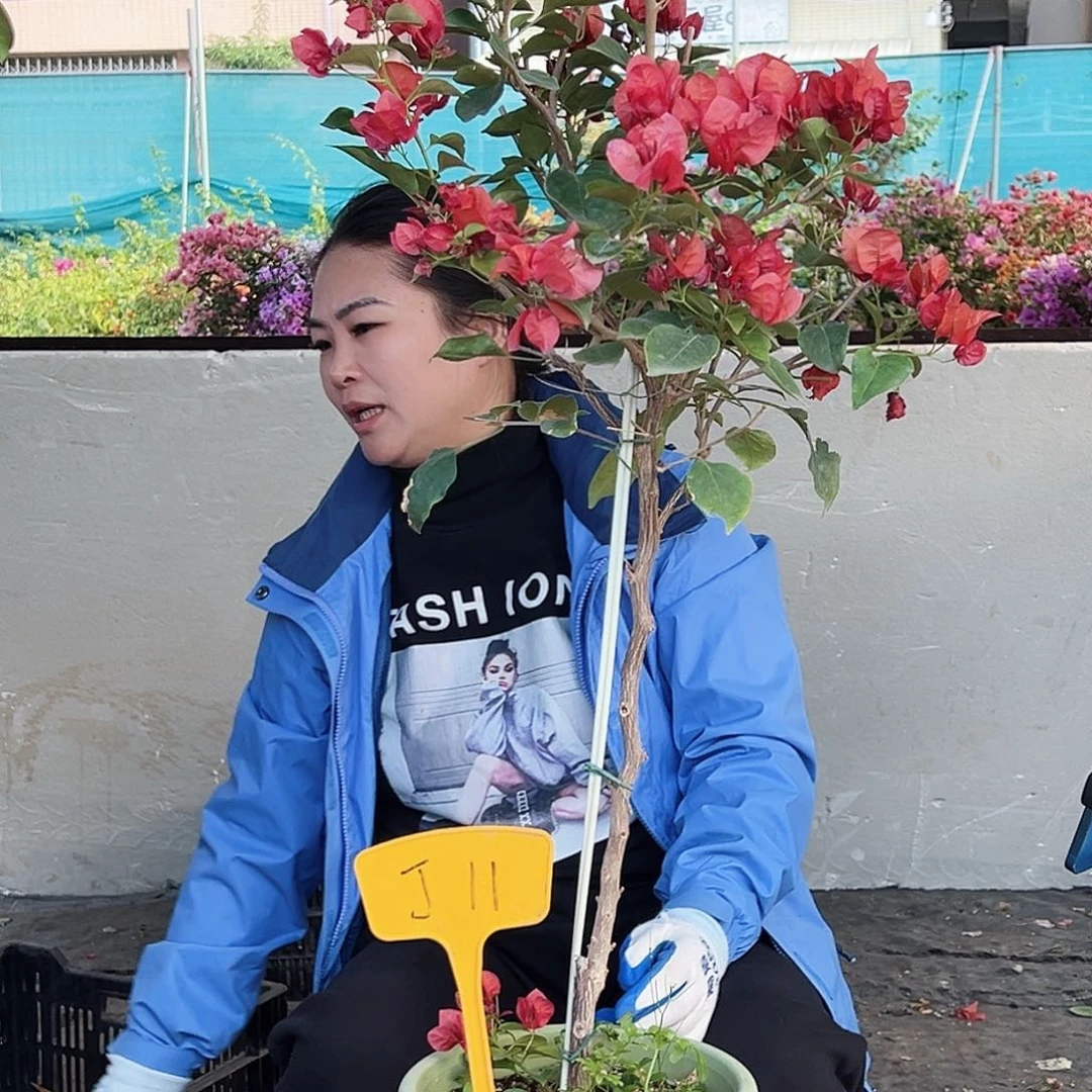 A****大部分花苞少量开放J11不甜