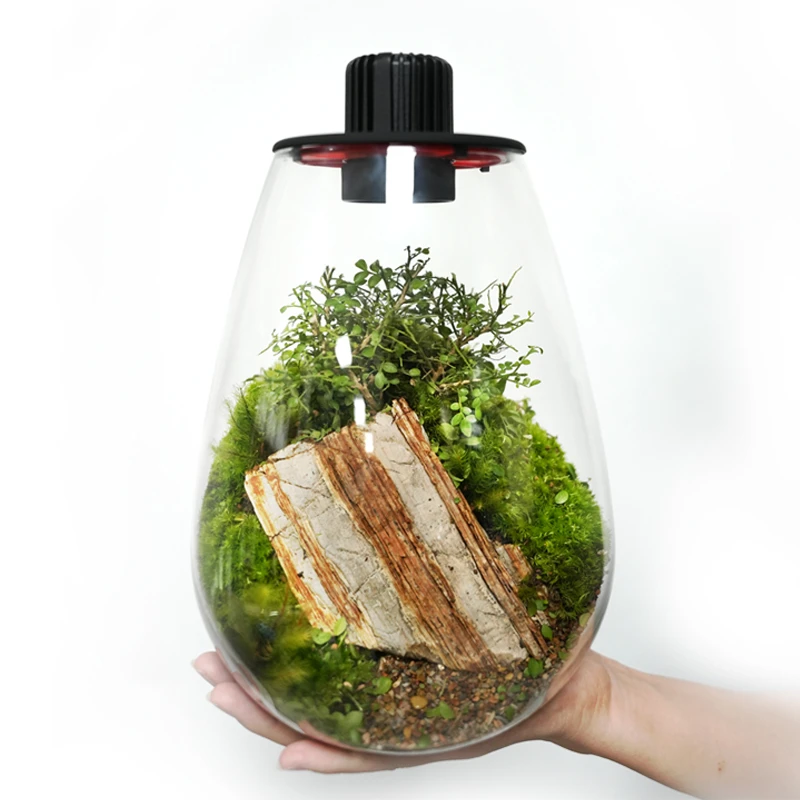 Bioloark【生物方舟】水滴成景纪念款植物苔藓家居装饰生态瓶