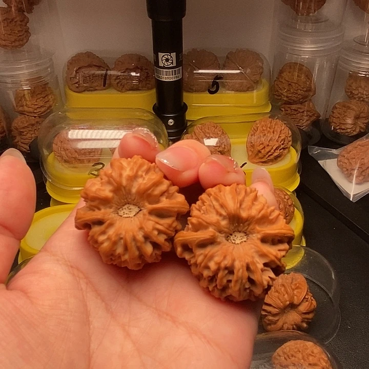 毕***扬39巨凹龙门涧