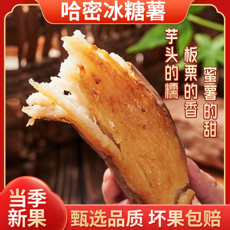 【坏果包赔】哈密冰糖薯 净重4.5斤装 当季新鲜番薯甜如冰糖