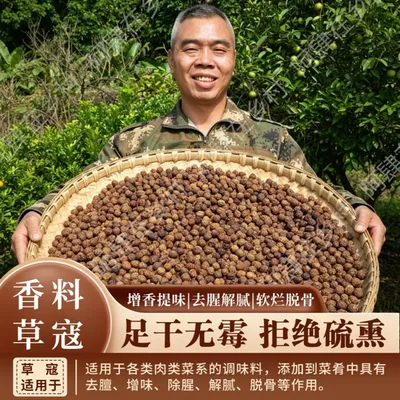 草寇草豆蔻炖肉脱骨卤料佐料香料大全煲汤调味料无硫熏老豆蔻批发