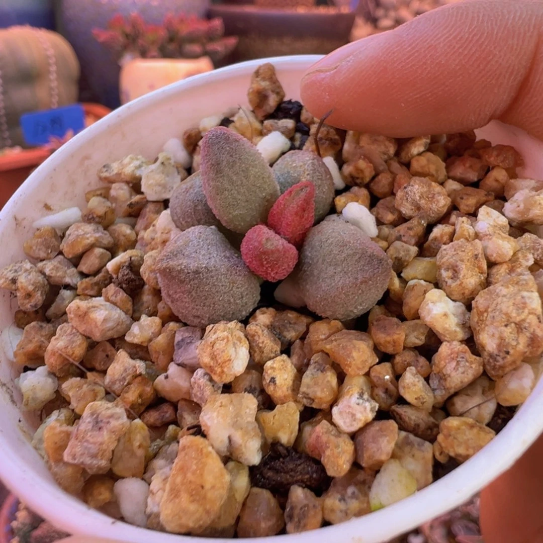 一组自拍，感谢支持