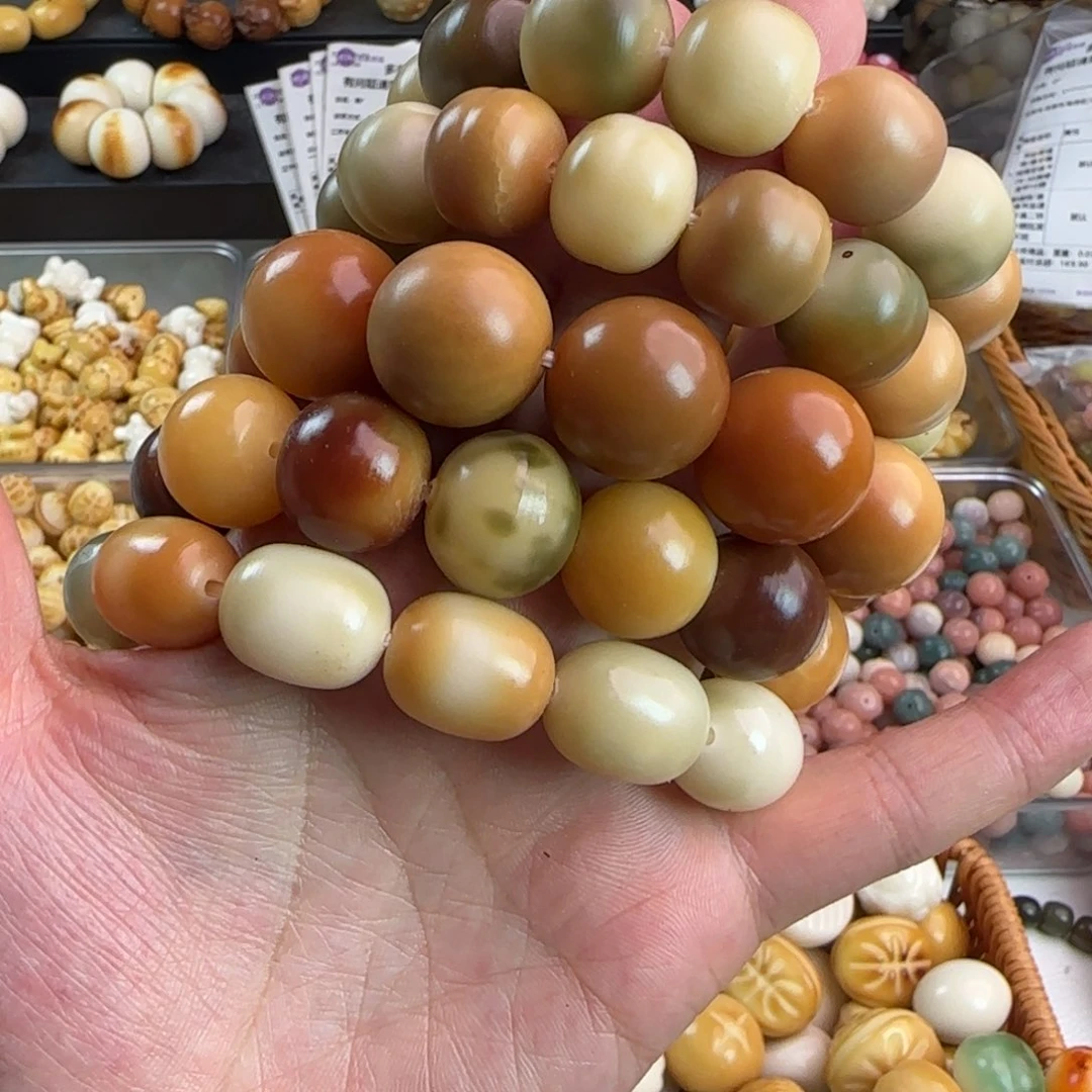 吊坠菩提根/象牙果瑕疵干磨2条（不同款式）无售后