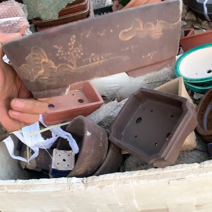 紫砂哈哈真的是太给力太火爆了