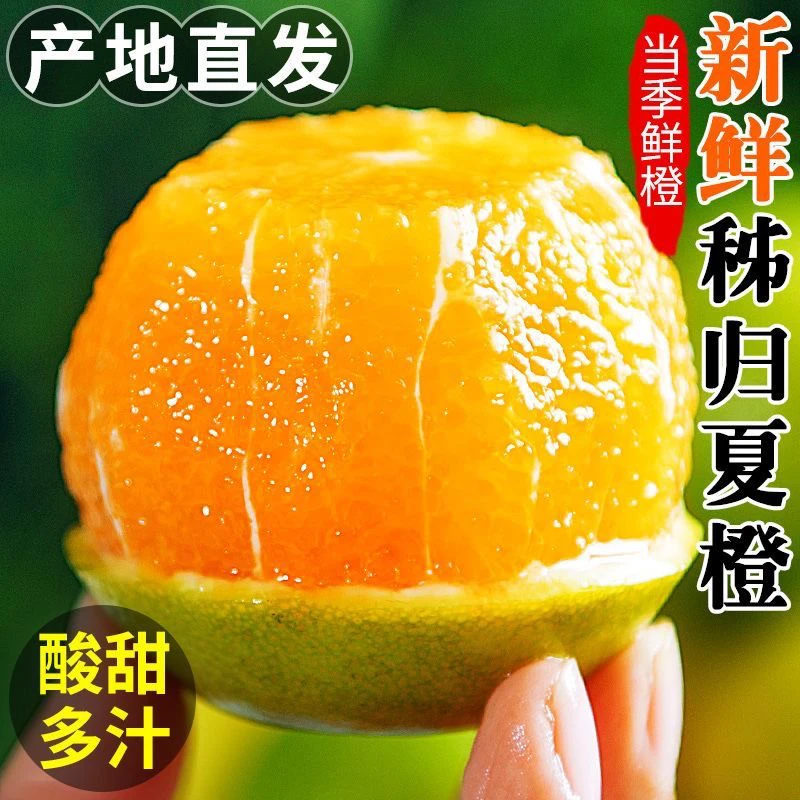 应季新鲜夏橙子产地直发现摘现发酸甜可口可榨汁