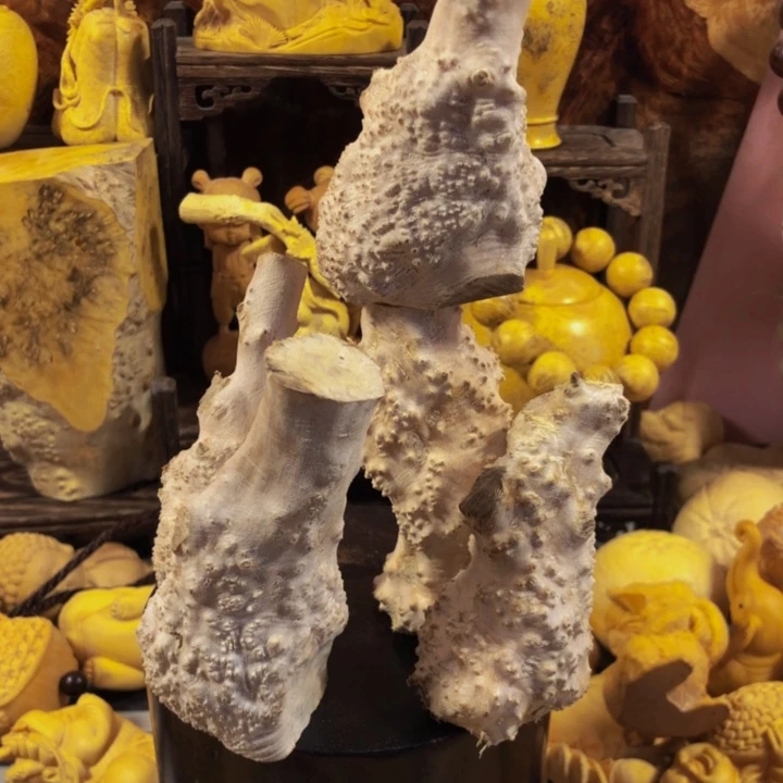 萨***卡木木料木口渴木料