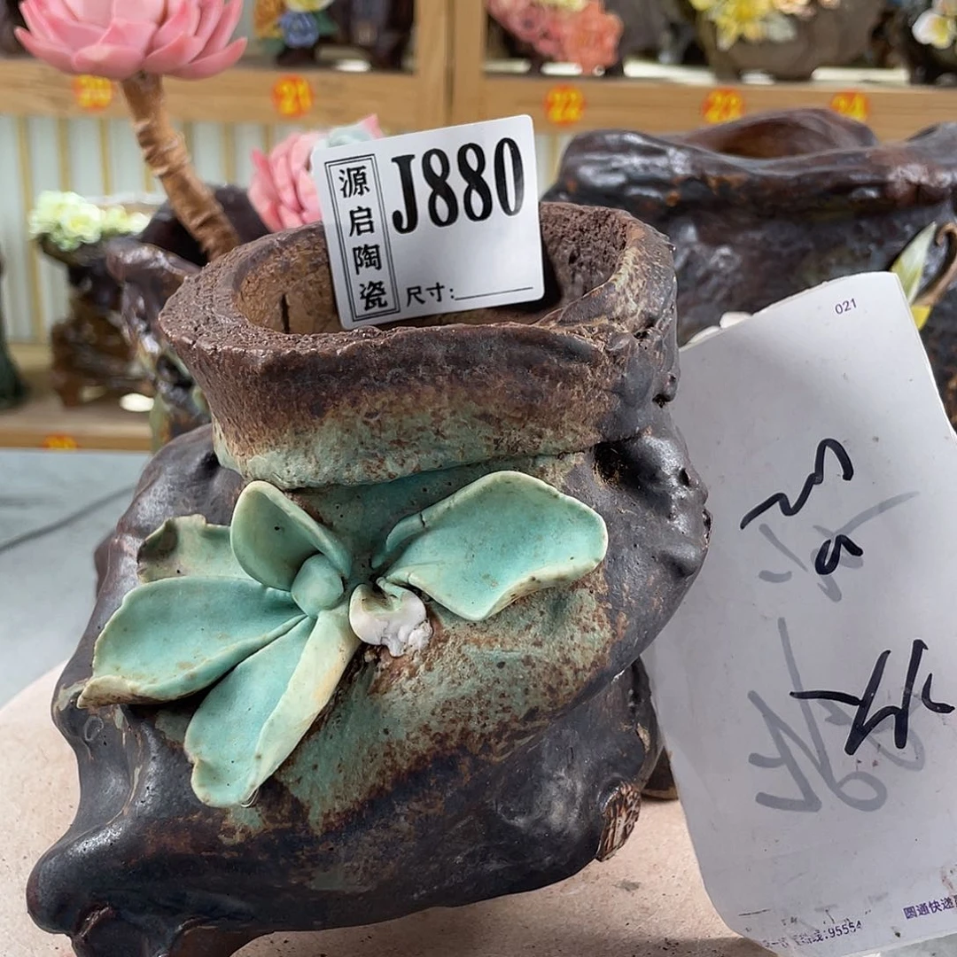 紫砂花盆景德镇陶瓷多肉880