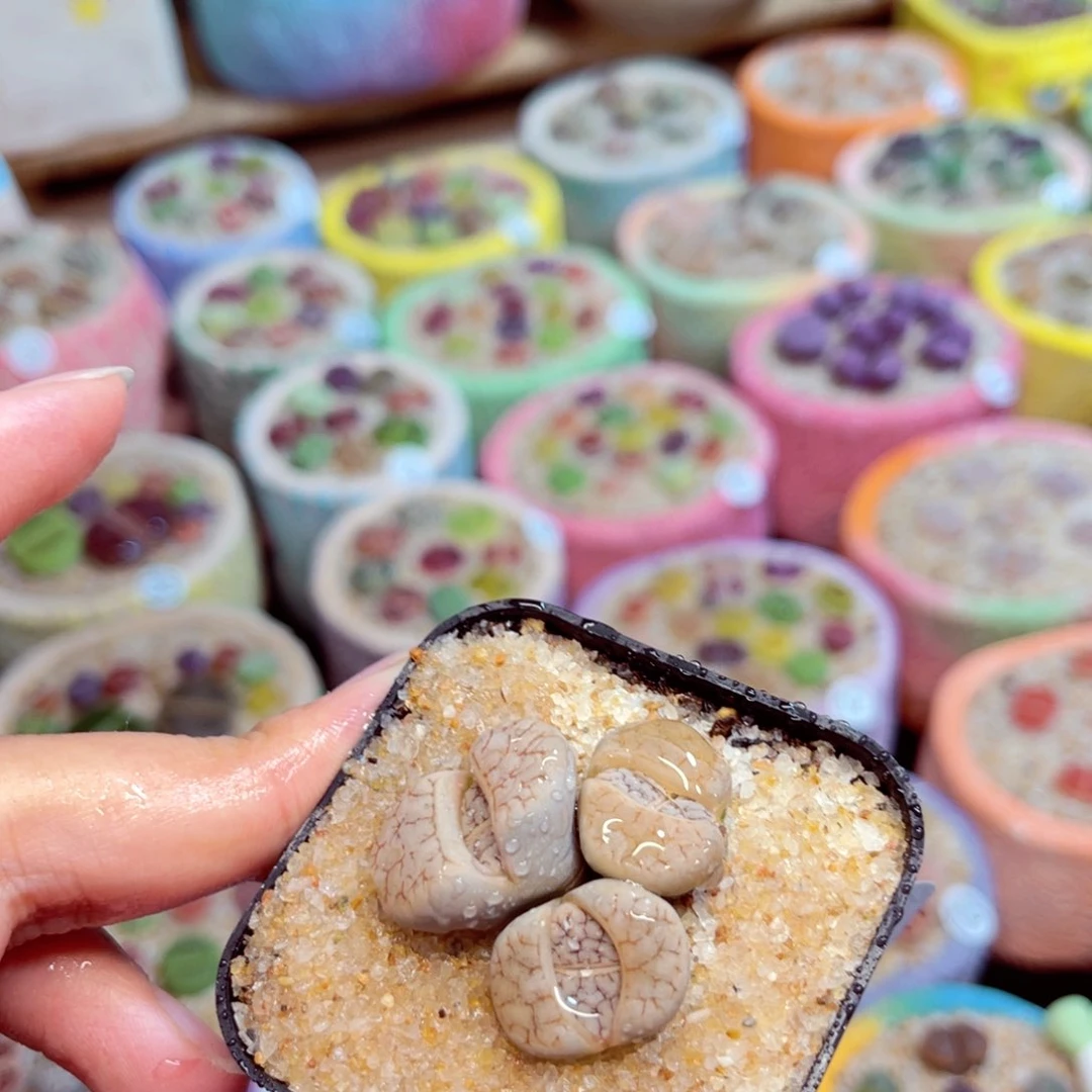 125。8888888888888888