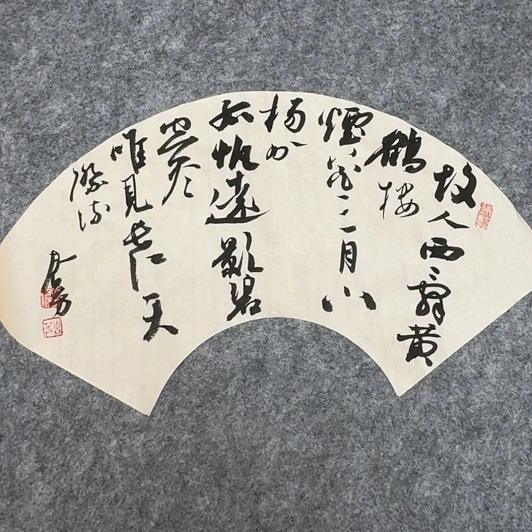 书法国展书家麻春芳44×20